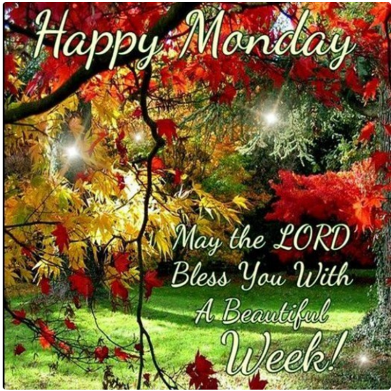 Screenshot 2015-11-17 at 6.42.24 AM