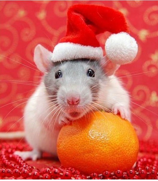 mousy christmas