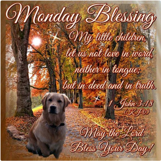 Screenshot 2015-11-23 at 5.54.41 PM