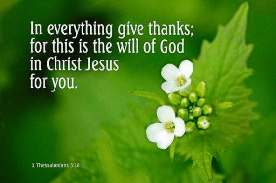 Screenshot 2015-12-23 at 7.43.32 AM