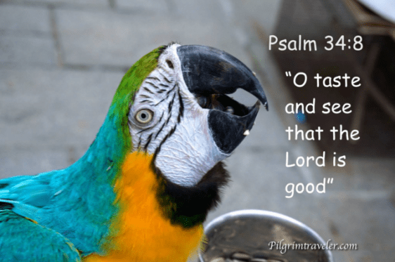 Screenshot 2016-05-02 at 7.46.29 PM