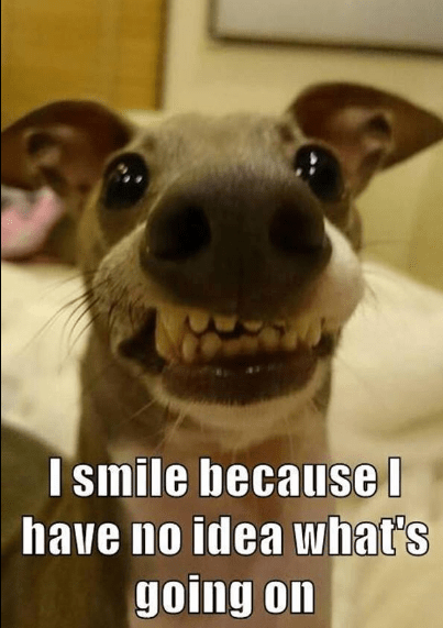 Screenshot 2016-05-14 at 9.15.02 AM