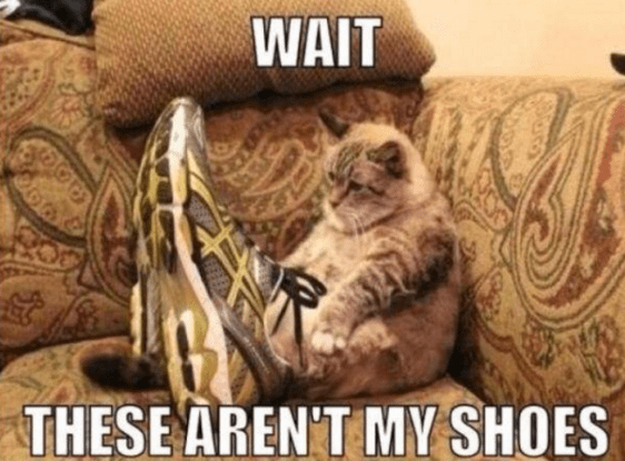 Screenshot 2016-05-14 at 9.18.20 AM