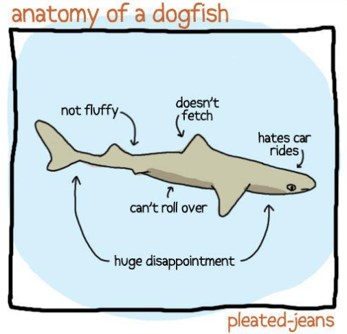 Screenshot 2016-05-15 at 3.29.16 PM