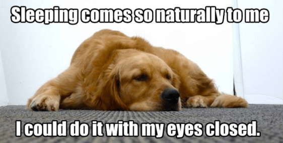 Screenshot 2016-05-17 at 8.30.27 AM