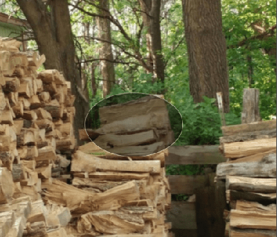 Screenshot 2016-08-28 at 8.37.53 PM