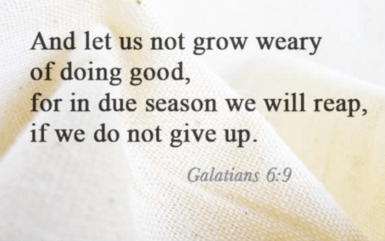 Screenshot 2016-09-04 at 9.16.30 PM