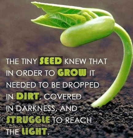 screenshot-2016-09-12-at-6-08-20-am