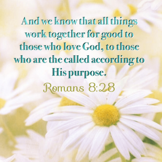 screenshot-2016-09-19-at-5-32-06-am