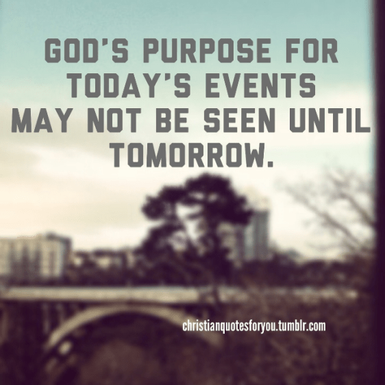 screenshot-2016-09-19-at-5-41-28-am