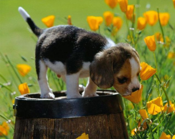 screenshot-2016-09-20-at-7-12-33-pm