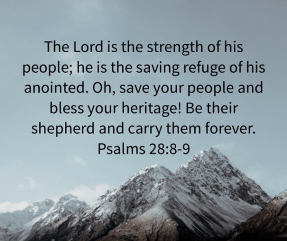 screenshot-2016-10-04-at-11-04-52-am