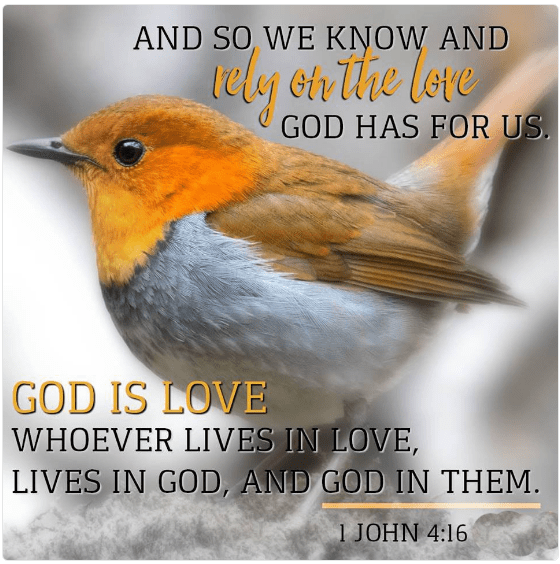 screenshot-2016-10-04-at-2-10-11-pm