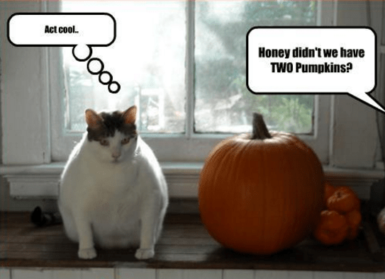 screenshot-2016-10-09-at-8-53-17-am