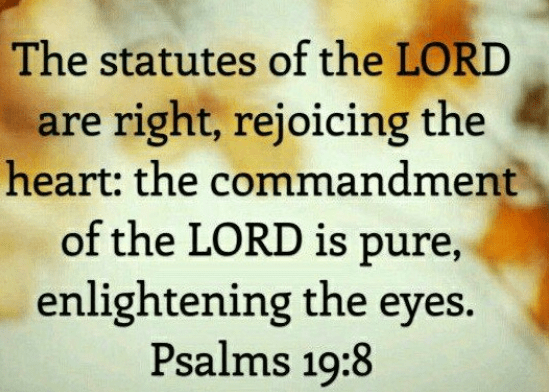 screenshot-2016-10-10-at-10-52-18-am