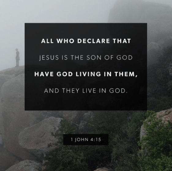 screenshot-2016-10-11-at-8-24-48-am