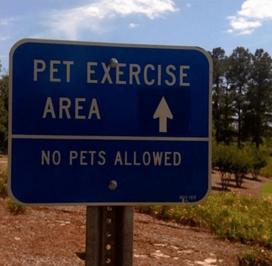 screenshot-2016-10-23-at-9-24-31-am