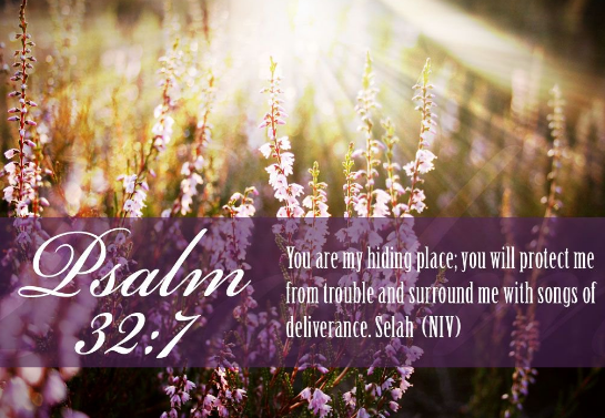 screenshot-2016-11-08-at-11-17-32-am