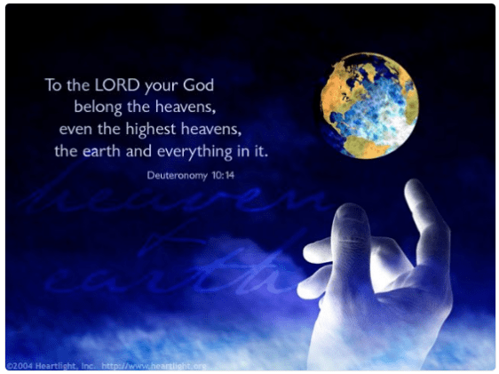 screenshot-2016-11-21-at-9-42-02-am