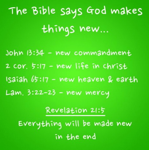 screenshot-2017-01-01-at-9-27-46-pm