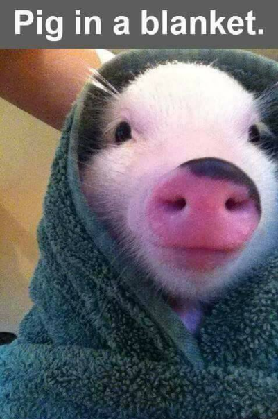 screenshot-2017-01-06-at-3-40-46-am