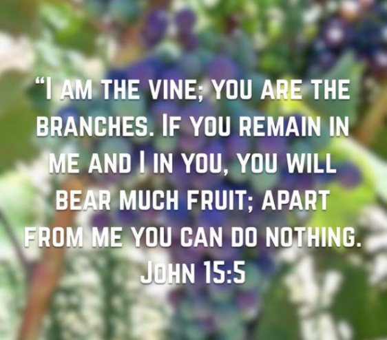 screenshot-2017-01-11-at-7-26-57-pm