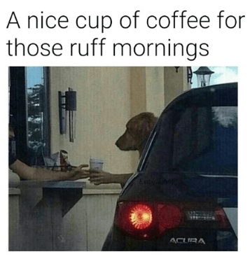 screenshot-2017-01-18-at-2-16-24-pm