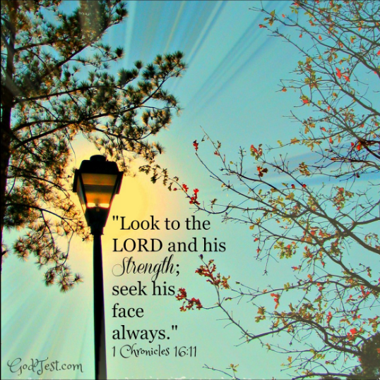 screenshot-2017-01-22-at-8-38-42-pm