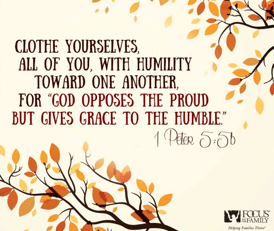 screenshot-2017-01-22-at-8-42-03-pm