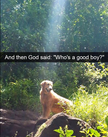 screenshot-2017-01-28-at-6-09-25-am