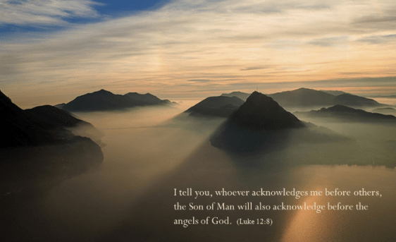 screenshot-2017-01-22-at-8-39-40-pm