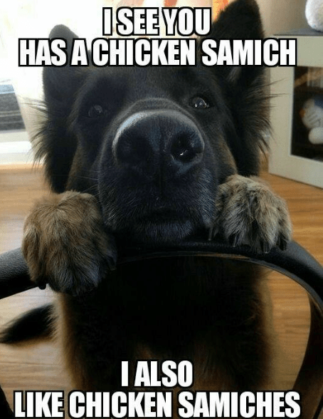 screenshot-2017-02-02-at-6-25-45-am