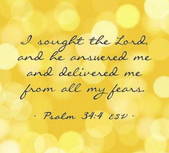 screenshot-2017-02-09-at-2-45-45-pm