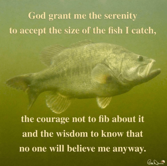 screenshot-2017-02-16-at-7-43-56-pm