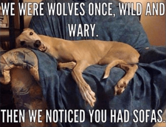 Screenshot 2017-03-15 at 9.22.15 PM