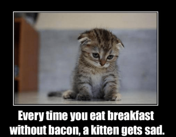 Screenshot 2017-03-18 at 6.20.26 PM