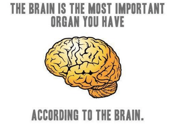 Screenshot 2017-03-26 at 8.01.47 AM