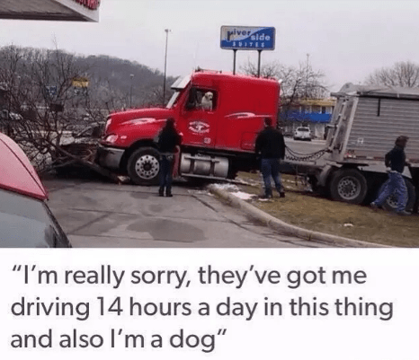 Screenshot_2016-12-15-18-55-38