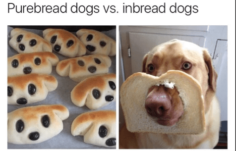 screenshot_2017-02-24-10-39-26