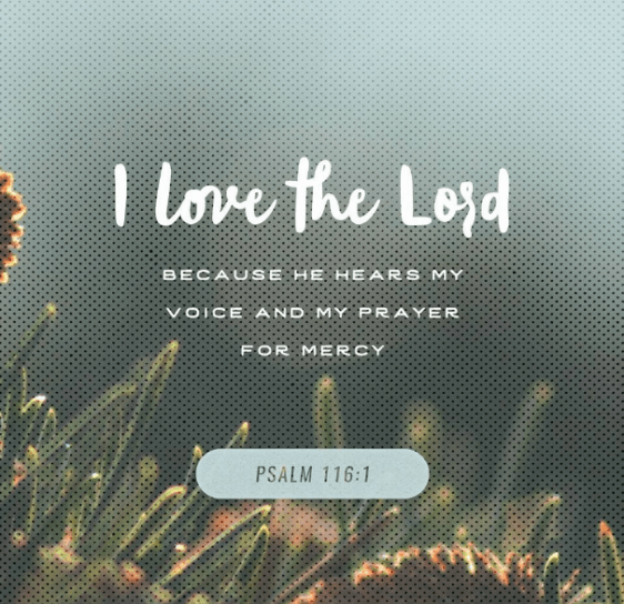 Screenshot 2017-03-28 at 6.40.19 AM