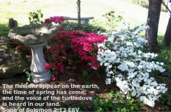 Screenshot 2017-04-27 at 9.46.00 AM