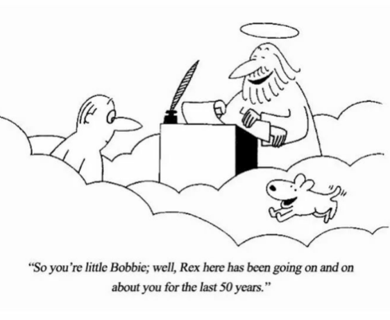 Screenshot 2017-04-28 at 10.46.02 PM