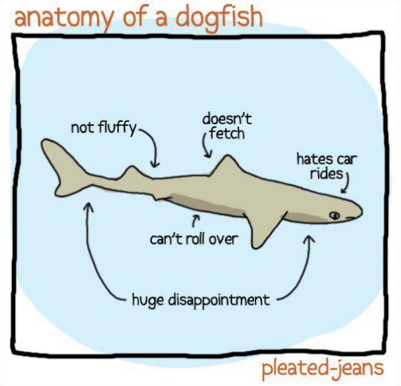 Screenshot 2017-05-15 at 6.21.51 PM