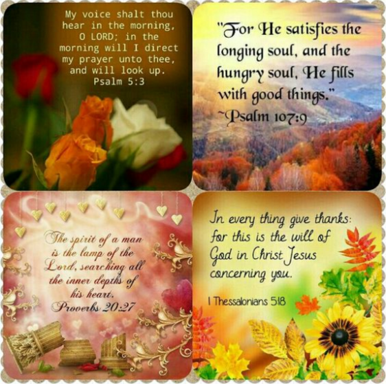 Screenshot 2017-06-19 at 10.01.26 PM