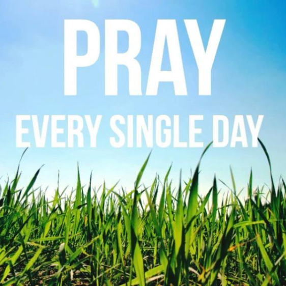 Screenshot 2017-06-25 at 4.11.51 PM