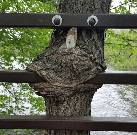 Screenshot 2017-07-01 at 8.51.03 AM