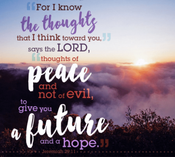 Screenshot 2017-12-31 at 5.26.28 PM