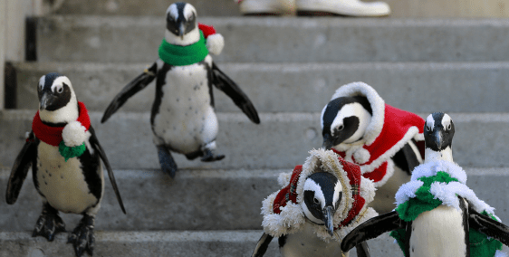 Screenshot 2018-01-04 at 10.04.50 AM