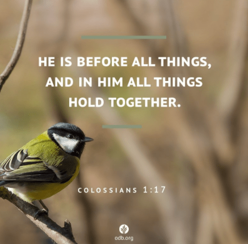 Screenshot 2018-01-24 at 10.10.13 AM