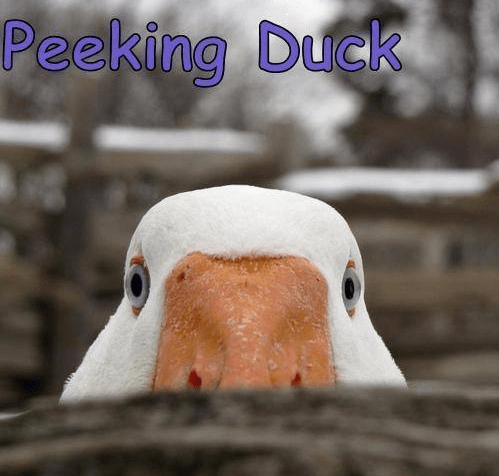 Screenshot 2018-02-05 at 10.43.59 AM